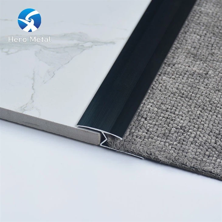 Transition from carpet to tile (5)